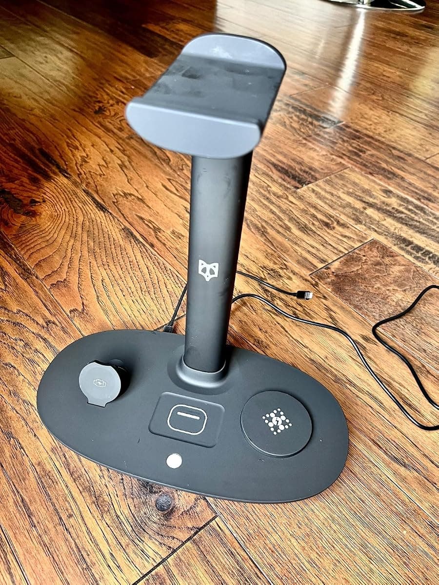 Customer photo of the BeFox charger — Black edition