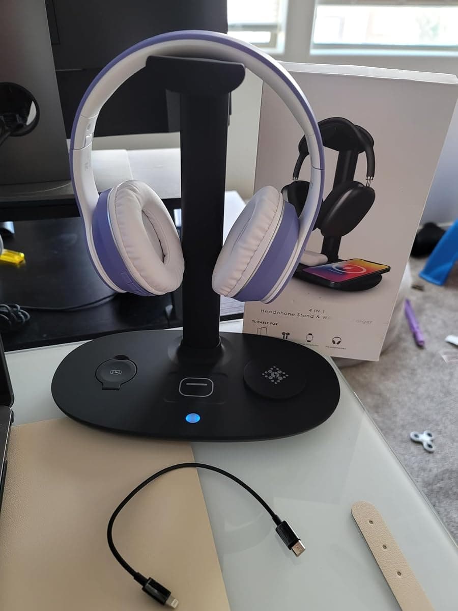 Customer photo of the BeFox charger — Black edition