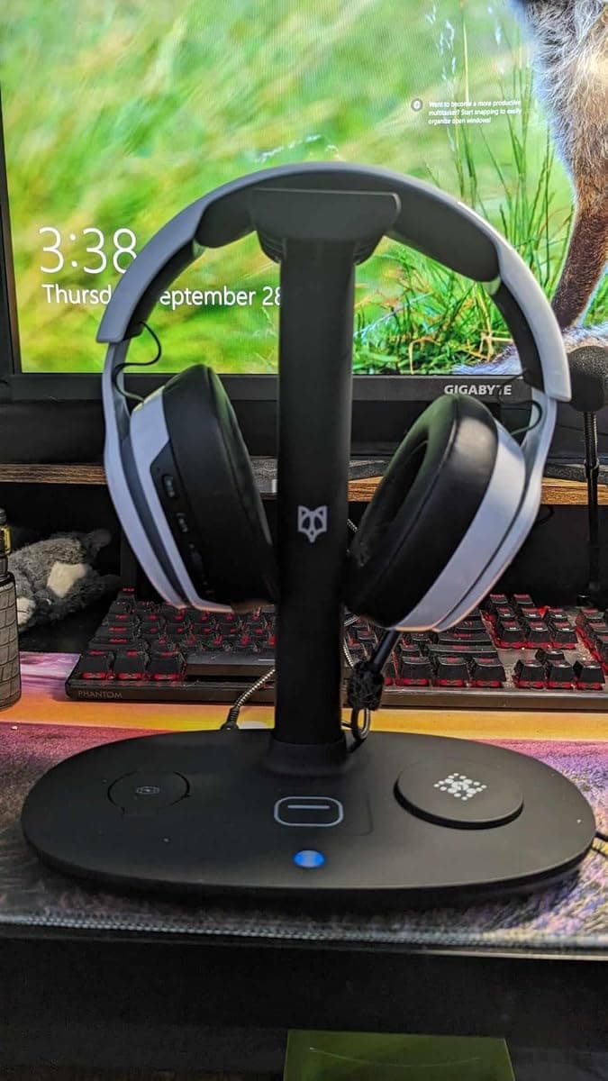 Customer photo of the BeFox charger — Black edition