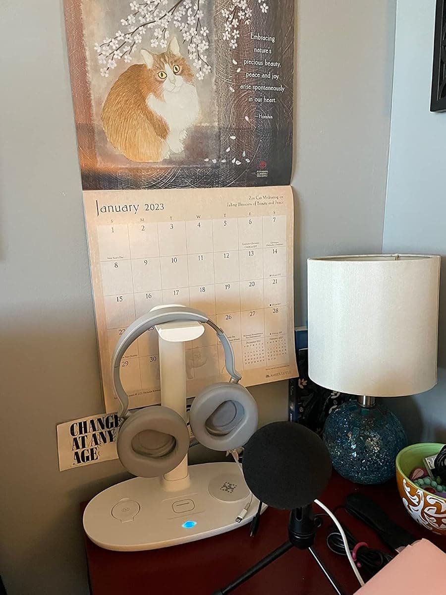 Customer photo of the BeFox charger — White edition